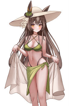 1girl animal_ears bare_shoulders bikini blush breasts brown_eyes brown_hair cleavage closed_mouth green_bikini green_sarong grey_hat grey_shawl hair_between_eyes hat highres holding_shawl horse_ears horse_girl horse_tail large_breasts long_hair looking_at_viewer navel sarong satono_diamond_(umamusume) seemu_(wnslqjdignv_) shawl sidelocks smile solo stomach sun_hat swimsuit tail umamusume