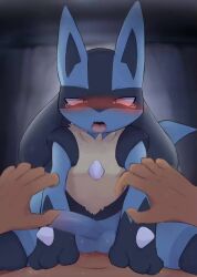 2boys anal animal_ears animated blue_fur blush censored cowgirl_position cum cum_in_ass ejaculating_while_penetrated ejaculation erection furry furry_male furry_with_non-furry gen_4_pokemon interspecies looking_at_viewer lucario male_focus mosaic_censoring multiple_boys nintendo nude open_mouth penis pokemon pokemon_(creature) pokephilia pov pov_crotch pov_hands sex straddling tagme tail tears testicles video yaoi yousan_(pixiv540898)