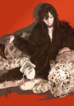 1boy alternate_costume animal artist_request bare_legs black_choker black_coat black_hair black_shoes chinese_commentary choker closed_mouth coat commission dated fur_coat fur_trim hair_between_eyes hair_down hair_ribbon half_updo high_heels holding holding_shoes holding_unworn_clothes implied_yaoi long_hair long_sleeves looking_at_viewer lying male_focus modao_zushi official_alternate_hairstyle red_background red_eyes red_ribbon ribbon second-party_source shadow shoes signature simple_background sitting snow_leopard solo tail tail_ornament tail_ribbon unworn_shoes watermark wei_wuxian wei_wuxian_(yiling_laozu) white_ribbon yellow_eyes