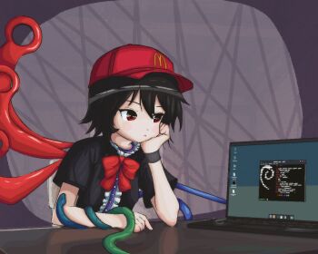 computer debian houjuu_nue laptop linux mcdonald's touhou