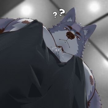 1boy 3d ? ?? armpit_hair armpit_hair_peek bara black_tank_top chest_tuft facial_hair foreshortening from_below furry furry_male goatee grey_fur highres large_pectorals looking_at_viewer looking_down male_focus mature_male meme muscular muscular_male nagick_18 nipple_slip nipples original pectoral_cleavage pectoral_focus pectorals short_hair sidepec solo tank_top thick_eyebrows tsurime wolf_boy pec_pov_(meme)