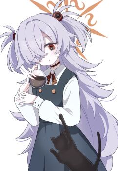 1girl black_cat blue_archive brown_eyes brown_halo cat commentary_request diagonal-striped_ribbon dress drink expressionless flask grey_hair hair_ornament hair_over_one_eye halo highres holding holding_drink kanoe_(blue_archive) long_hair long_sleeves looking_at_viewer parted_lips pinafore_dress round-bottom_flask sabotenirasuto shirt simple_background sleeveless sleeveless_dress solo two_side_up white_background white_shirt