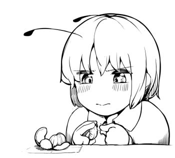 Rule 34 | 1girl, androgynous, blush, closed mouth, collared shirt, commentary request, food, fruit, greyscale, lineart, mandarin orange, monochrome, sadahiro (chicken nugget gyuuniku aji), shirt, short hair, simple background, solo, touhou, upper body, v-shaped eyebrows, wriggle nightbug