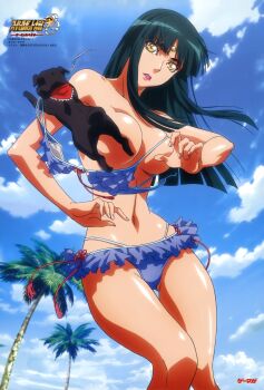 10s 1girl absurdres banpresto bikini cloud day dog female_focus green_hair highres kouno_sachiko long_hair narrow_waist ouka_nagisa purple_bikini sky solo super_robot_wars super_robot_wars_og_the_inspector super_robot_wars_original_generation super_robot_wars_original_generation_2 swimsuit tree yellow_eyes