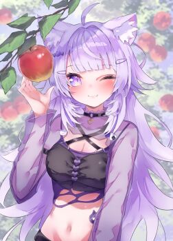 1girl ahoge animal_ear_fluff animal_ears apple asymmetrical_legwear blurry blurry_background breasts cat_ears cat_girl cat_tail cleavage closed_mouth collarbone commentary commentary_request crop_top food fruit highres hololive large_breasts long_hair looking_at_viewer navel nekomata_okayu nekomata_okayu_(gyaru) official_alternate_costume official_alternate_hair_length official_alternate_hairstyle one_eye_closed pantyhose purple_eyes purple_hair purple_pantyhose purple_scrunchie scrunchie solo stomach symbol-only_commentary tail thighhighs torn_clothes umichabo very_long_hair virtual_youtuber