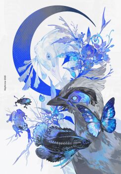 Rule 34 | beetle, bird, bird request, blue butterfly, blue eyes, blue flower, bug, butterfly, commentary, crescent moon, english commentary, flower, highres, insect, moon, nightcrow, no humans, original, peacock, poison dart frog, shell, siamese fighting fish