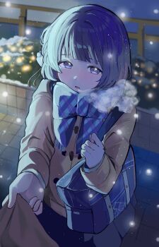 Rule 34 | 1girl, 1other, absurdres, bag, black skirt, blue scarf, blurry, blurry background, blush, bob cut, bow, braid, brown coat, clothes grab, coat, commentary request, cowboy shot, depth of field, duffel coat, flower, gakuen idolmaster, hair flower, hair ornament, hands up, hataya misuzu, highres, holding strap, idolmaster, light particles, long sleeves, looking at viewer, mole, mole under mouth, nekommokuwan, night, outdoors, plaid clothes, plaid scarf, purple eyes, purple hair, scarf, scarf bow, school bag, short hair, shoulder bag, side braid, sidelighting, single braid, skirt, solo, standing, white flower