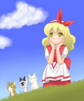 Rule 34 | 1girl, blonde hair, blush, cat, cloud, cosplay, ellen (touhou), ellen (touhou) (cosplay), ellen fuwafuwaatama aureus, grass, green eyes, hatarakimono, name connection, parody, plato (hatarakimono), red ribbon, renii, ribbon, sky, sokrates (touhou), style parody, touhou