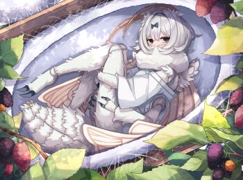 1girl abdomen_tail antennae arthropod_girl arthropod_limbs black_bow black_eyes blush bow cocoon commentary_request compound_eyes extra_arms fewer_digits food fruit full_body grey_hair hair_between_eyes hair_bow hair_intakes insect_girl insect_wings kaiko-chan_(planhaplalan) looking_at_viewer lying monster_girl moth_antennae moth_girl moth_wings neck_fur original plan_(planhaplalan) shirt short_hair silk solo white_shirt wings