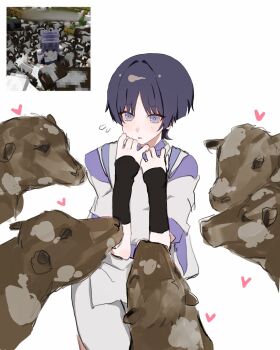 Rule 34 | 1boy, armor, black hair, blunt ends, bright pupils, clothing cutout, cow, eyeliner, flying sweatdrops, game screenshot inset, genshin impact, grey eyes, hair intakes, hands up, heart, highres, japanese armor, japanese clothes, kariginu, kote, kurokote, layered sleeves, light blush, looking at animal, makeup, male focus, open mouth, pants, parted bangs, pelvic curtain, purple sleeves, red eyeliner, reference inset, scaramouche (genshin impact), scaramouche (kabukimono) (genshin impact), screenshot inset, short sleeves, shoulder cutout, solo, white background, white pants, white pupils, white sleeves, x makila