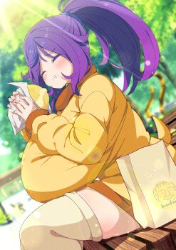 Rule 34 | 1girl, :t, absurdres, alternate breast size (larger), bag, bench, blurry, blurry background, blush, breasts, chewing, closed eyes, closed mouth, commission, day, dutch angle, eating, food, food on face, gigantic breasts, highres, holding, holding bag, holding food, hood, hoodie, huge breasts, jacket, lens flare, light rays, long hair, long sleeves, on bench, original, outdoors, paper bag, park bench, ponytail, purple hair, shiro9jira, shopping bag, sitting, skeb commission, solo, steamed bun, sunlight, thick thighs, thighhighs, thighs, tree, white thighhighs, yellow hoodie, yellow thighhighs, zettai ryouiki