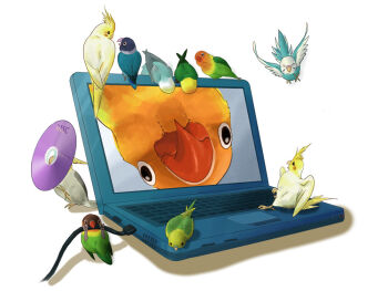 animal asio-otus beak bird cable cockatiel commentary_request computer feathers hard_drive laptop no_humans original parrot simple_background