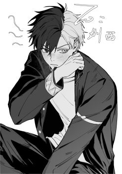 Rule 34 | 1boy, blush, furin high school uniform, gakuran, greyscale, heterochromia, highres, jacket, male focus, monochrome, multicolored hair, open clothes, open jacket, pants, pcal pcal, sakura haruka (wind breaker), school uniform, shirt, simple background, sitting, solo, split-color hair, two-tone hair, white background, wind breaker (nii satoru)