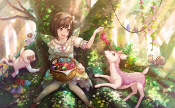 Rule 34 | 1girl, :d, basket, bird, brown eyes, brown hair, colorful palette, deer, dress, flower, food, frilled dress, frills, fruit, game cg, grapes, hair flower, hair ornament, highres, holding, holding food, holding fruit, monkey, official alternate costume, official art, onayami kikasete! wakuwaku picnic (project sekai), open mouth, plant, project sekai, shinonome ena, sitting, smile, solo, squirrel, third-party source, tongue, tree, v-shaped eyebrows, vines, wings