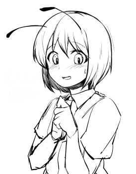 Rule 34 | 1girl, absurdres, androgynous, antennae, blush, collared shirt, greyscale, highres, looking at viewer, monochrome, open mouth, own hands together, sadahiro (chicken nugget gyuuniku aji), shirt, short hair, sketch, solo, touhou, upper body, wriggle nightbug
