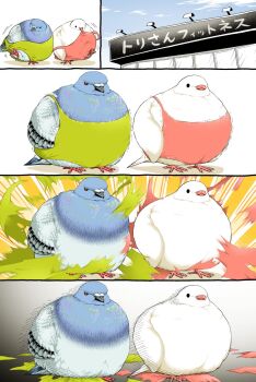 animal animal_focus bird blue_sky commentary_request dove green_leotard leotard no_humans original pigeon pink_leotard sky torn_clothes torn_leotard translation_request ugebeso