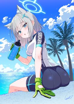 Rule 34 | 1girl, animal ears, ass, bike shorts, biker clothes, bikesuit, blue archive, blue eyes, blue halo, bodysuit, breasts, gloves, green gloves, grey hair, halo, heterochromia, highres, kamuraaa 615, large breasts, medium hair, official alternate costume, shiroko (blue archive), shiroko (cycling) (blue archive), sitting, solo, thighs, wolf ears