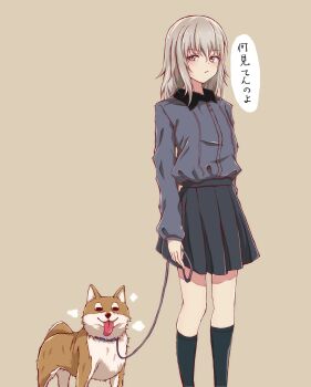 Rule 34 | 1girl, belt, black skirt, black socks, blue eyes, cat earthen pot, feet out of frame, girls und panzer, grey background, grey hair, highres, holding, holding belt, itsumi erika, kuromorimine school uniform, looking at viewer, nishizumi family dog, school uniform, short hair, simple background, skirt, socks, standing, tongue, tongue out, translation request