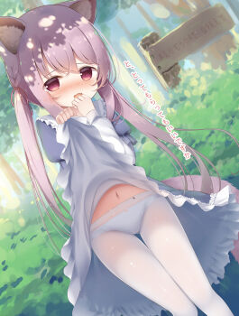 1girl animal_ears blue_dress blush bow bow_panties bug bush cat_ears clothes_lift dress dress_lift dutch_angle fang forest frilled_dress frills furrowed_brow hair_between_eyes hair_tie hand_to_own_mouth highres insect japanese_text ladybug loli long_hair long_sidelocks long_sleeves looking_at_viewer nature navel open_mouth original outdoors panties pantyhose pink_eyes pink_hair pov psyche3313 shiny_skin sidelocks sign translation_request twintails underwear very_long_hair white_panties white_pantyhose