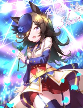 1girl animal_ears blue_flower blue_hat blue_rose blue_thighhighs blush bodice brown_hair choker corset cropped_jacket flipped_hair flower garter_straps hair_over_one_eye hat hat_flower highres holding holding_flower horse_ears horse_girl jacket long_hair looking_at_viewer official_alternate_costume open_mouth overskirt pendant_choker petals purple_choker purple_eyes purple_garter_straps purple_thighhighs red_corset red_shorts rice_shower_(umamusume) rose shirt shorts smile solo starting_future_(umamusume) thighhighs umamusume white_jacket
