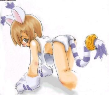 1girl aerisdies all_fours animal_ears artist_request ass blush brown_eyes brown_hair cat_ears cat_girl cat_tail cosplay digimon digimon_adventure from_behind gloves holy_ring loli panties paw_gloves shirt short_hair simple_background smile solo tail tail_ornament tail_ring tailmon tailmon_(cosplay) tank_top underwear white_background white_gloves white_panties white_shirt yagami_hikari