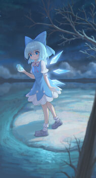1girl absurdres bare_tree black_shoes blue_bow blue_dress blue_eyes blue_hair bow cirno closed_mouth cloud commentary detached_wings dress frozen_frog full_body hair_bow highres holding ice ice_wings medium_hair neck_ribbon night outdoors pinafore_dress puffy_short_sleeves puffy_sleeves red_ribbon ribbon shoes short_sleeves sky sleeveless sleeveless_dress smile snow socks solo toorooo touhou tree white_socks wings