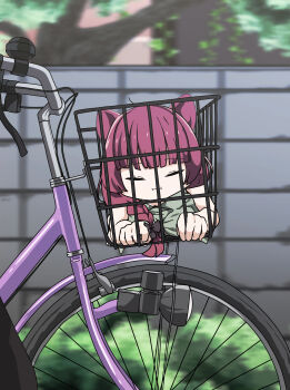 2girls :i absurdres animal_ears bicycle bicycle_basket blurry blurry_background bocchi_the_rock! bow braid bush cat_ears chibi closed_eyes dress goumonsha hair_bow hair_over_shoulder highres hiroi_kikuri in_container kemonomimi_mode multiple_girls outdoors purple_hair single_braid tree