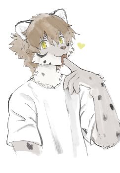 1boy body_fur brown_hair commentary_request finger_to_tongue furry furry_male grey_fur hand_up heart highres jinbuuck looking_at_viewer male_focus original shirt short_hair simple_background slit_pupils snow_leopard_boy solo tongue tongue_out upper_body white_background white_shirt