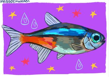 Rule 34 | animal focus, border, commentary, english commentary, fish, from side, full body, highres, maggotmuncher0, no humans, original, painterly, purple background, simple background, sparkle, star (symbol), tetra (fish), tropical fish, water drop, white border