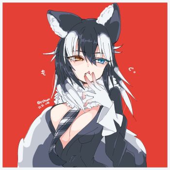1girl animal_ears blue_eyes breasts cleavage cthun_n extra_ears gloves grey_hair grey_wolf_(kemono_friends) heterochromia highres jacket kemono_friends long_hair looking_at_viewer medium_breasts necktie red_background scarf simple_background solo tail tongue tongue_out upper_body wolf_ears wolf_girl wolf_tail yellow_eyes