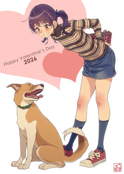 Rule 34 | animal collar, aoi sora (pairan), blush, breasts, brown eyes, brown hair, collar, commentary request, dated, denim, denim skirt, dog, full body, gift, grin, hair ornament, hair tie, hairclip, happy valentine, heart, highres, holding, holding behind back, kneehighs, leaning forward, long sleeves, looking at animal, medium hair, nose blush, original, pairan, purple hair, red shoes, shirt, shoes, skirt, small breasts, smile, sneakers, socks, standing, striped clothes, striped shirt, teeth, turtleneck, twintails, valentine