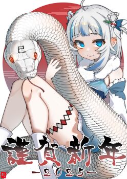 Rule 34 | 1girl, 2025, absurdres, ahoge, blue eyes, blue hair, chinese zodiac, commentary request, gawr gura, gawr gura (new year), happy new year, highres, hololive, hololive english, johnny (braun-kan cafe), knees together feet apart, looking at viewer, multicolored hair, new year, official alternate costume, official alternate hairstyle, panties, pantyshot, revision, shark girl, simple background, snake, socks, streaked hair, two-tone hair, underwear, virtual youtuber, white background, white panties, white snake, white socks, year of the snake