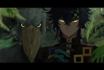 1boy animal bird black_border black_hair border closed_mouth crossed_bangs earrings genshin_impact gloves hair_between_eyes headband highres jewelry kinich_(genshin_impact) letterboxed looking_at_viewer male_focus multicolored_hair rea_m311ow shoebill short_hair yellow_eyes