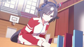 3girls ahoge animal animal_ears animal_on_shoulder animated animated_gif believe_(umamusume) black_hair blonde_hair brown_hair calstone_light_o_(umamusume) cat commentary_request crossed_arms dominoes durandal_(umamusume) ear_covers gym hair_between_eyes horse_ears horse_girl horse_tail jacket long_sleeves multicolored_hair multiple_girls red_jacket red_shorts ryuu_(ryuraconis) seiza shorts single_ear_cover sitting stage streaked_hair tail track_jacket umamusume white_hair wooden_floor