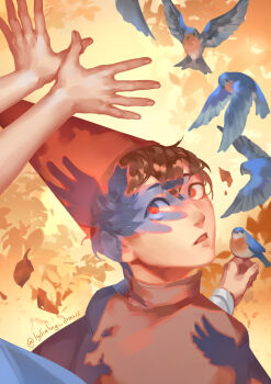 1boy bird brown_hair commentary conical_hat english_commentary hat looking_back looking_up lydia_ling male_focus nose open_mouth out_of_frame over_the_garden_wall red_eyes red_hat shadow short_hair solo_focus wirt_(over_the_garden_wall) yellow_background