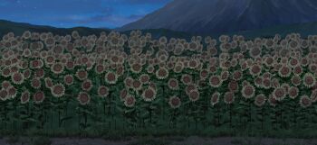 cloud field flower flower_field game_cg grass hill mountain night night_sky no_humans non-web_source official_art outdoors scenery sky star_(sky) sunflower touhou touhou_gensou_eclipse yellow_flower