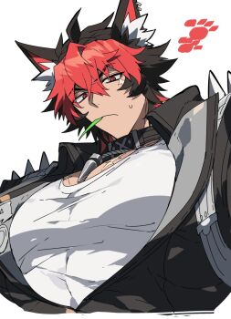 1boy 44_aaaa_44 animal_ears black_choker black_hair black_jacket choker closed_mouth commentary_request dog_boy dog_ears from_below jacket jewelry komano_manato large_pectorals looking_at_viewer male_focus multicolored_hair muscular muscular_male necklace pectorals red_eyes red_hair scar scar_across_eye scar_on_chest scar_on_face shirt short_hair simple_background solo spiked_jacket white_background white_shirt zenless_zone_zero