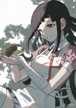 1girl animal apron bandages black_eyes black_hair blue_skirt commentary_request danganronpa_(series) danganronpa_2:_goodbye_despair grin hareruya_(smomo2227) hedgehog highres long_hair mole mole_under_eye pleated_skirt puffy_short_sleeves puffy_sleeves short_sleeves skirt smile tsumiki_mikan twitter_username white_apron