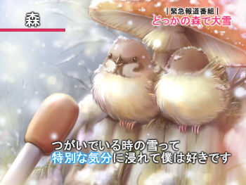 animal_focus bird covering_face interview meme microphone mushroom no_humans original parody snow snowing sparrow special_feeling_(meme) translation_request yoshiyanmisoko