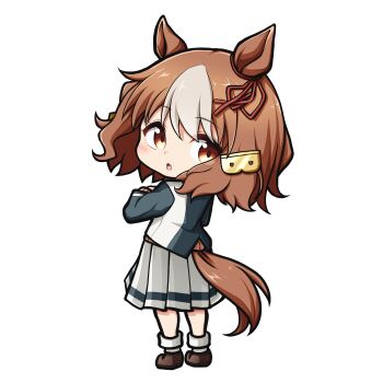 Rule 34 | 1girl, animal ears, belno light (umamusume), blue jacket, bow, brown eyes, brown hair, brown shoes, chibi, commentary, ear ribbon, from behind, full body, grey hair, grey skirt, grey socks, hair ornament, highres, horse ears, horse girl, horse tail, jacket, kuena, looking at viewer, looking back, multicolored hair, parted lips, pleated skirt, red ribbon, ribbon, shoes, simple background, skirt, socks, solo, standing, tail, two-tone hair, umamusume, white background