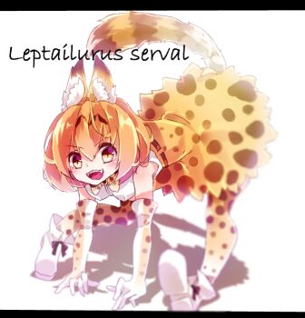 1girl all_fours animal_ear_fluff animal_ears black_bow blonde_hair blush boots bow cat_ears cat_girl cat_tail commentary_request elbow_gloves footwear_bow full_body gloves kemono_friends letterboxed looking_at_viewer open_mouth pantyhose serval_(kemono_friends) shinjitsu_no_kuchi shirt short_hair simple_background sleeveless sleeveless_shirt smile solo tail teeth v-shaped_eyebrows white_background white_boots white_gloves white_shirt yellow_eyes yellow_pantyhose