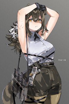 1girl animal_ears arknights armpits arms_up black_gloves breasts brown_hair brown_pantyhose collared_shirt commentary freckles gloves grey_background hair_between_eyes high-waist_shorts highres ierotak looking_at_viewer medium_breasts orange_eyes pantyhose redrawn robin_(arknights) scar scar_on_arm shirt shorts simple_background sleeveless sleeveless_shirt solo tail white_shirt