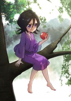 1girl absurdres aged_down apple barefoot black_hair bleach blurry blurry_background chi_mei_wang_liang child chinese_commentary commentary_request eating food fruit full_body hair_between_eyes highres holding holding_food holding_fruit japanese_clothes kimono kuchiki_rukia purple_eyes purple_kimono sitting_on_branch solo tree v-shaped_eyebrows wide_sleeves