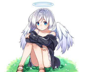 1girl absurdres angel black_skirt blue_eyes closed_mouth expressionless highres hugging_own_legs jacket long_sleeves looking_at_viewer multicolored_eyes on_ground original outdoors parted_bangs plant short_hair sitting skirt solo white_background white_hair white_wings wings zoirun