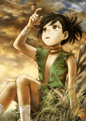 Rule 34 | 1girl, abe yoshitoshi, androgynous, ankle wrap, black hair, brown eyes, brown sky, bug, commentary request, dororo (character), dororo (tezuka), dragonfly, flat chest, grass, guest art, hand up, highres, insect, looking up, open clothes, open mouth, outdoors, ponytail, reverse trap, sitting, solo, wrist wrap