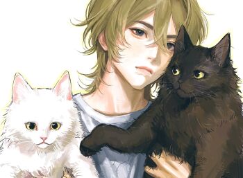 1boy animal black_cat blonde_hair cat closed_mouth commentary crew_neck double-parted_bangs grey_eyes hair_between_eyes highres holding holding_animal holding_cat looking_at_viewer male_focus medium_hair nk_6fal original shirt white_cat white_shirt yellow_eyes