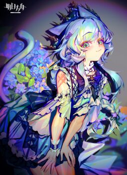 1girl :3 absurdres animal_ears arknights blue_flower blue_hair blush cat_ears cat_girl cat_tail closed_mouth commentary_request copyright_logo copyright_name dress flower green_eyes hair_flower hair_ornament hands_on_own_thighs highres infection_monitor_(arknights) jian_jia logo looking_at_viewer rosmontis_(arknights) solo spotlight tail