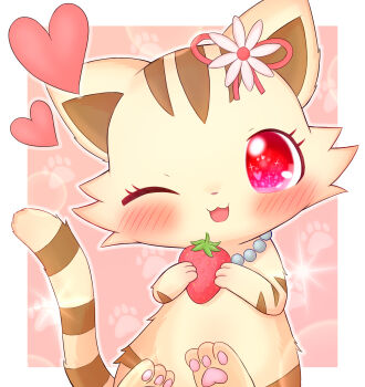 Rule 34 | animal focus, animalization, blush, border, cat, commentary request, flower, food, fruit, hair flower, hair ornament, heart, highres, jewelpet (creature), jewelpet (series), looking at viewer, no humans, one eye closed, paw print, pawpads, red eyes, rope (pixiv 86609436), sango (jewelpet), sitting, solo, sparkling eyes, strawberry, tail, white border