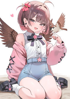 1girl :d absurdres ahoge armpit_crease bird bird_on_hand black_bow black_nails black_shoes blunt_bangs blush bow breasts brown_hair collared_shirt commentary fang feathered_wings flower frilled_shirt frills full_body grey_eyes hair_flower hair_ornament hand_up heart hibi2scus hibiscus highres jacket looking_at_viewer multicolored_hair off_shoulder open_mouth original pink_hair pink_jacket shirt shoes short_hair simple_background sitting small_breasts smile socks solo sparrow thighs two-tone_hair wariza white_background white_shirt white_socks wings