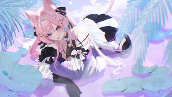 Rule 34 | 1girl, absurdres, animal ears, bare shoulders, black dress, black gloves, black thighhighs, breasts, cat ears, cat girl, cat tail, character request, closed mouth, commentary request, commission, copyright request, double-parted bangs, dress, edge ill, elbow gloves, full body, gloves, hair between eyes, hair intakes, hair ornament, heart, heart-shaped ornament, heart hair ornament, highres, large breasts, lips, long hair, looking at viewer, pink hair, purple eyes, skeb commission, smile, solo, tail, thighhighs, two-tone dress, water, white dress